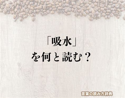 吸水|吸水（きゅうすい）とは？ 意味・読み方・使い方をわかりやす。